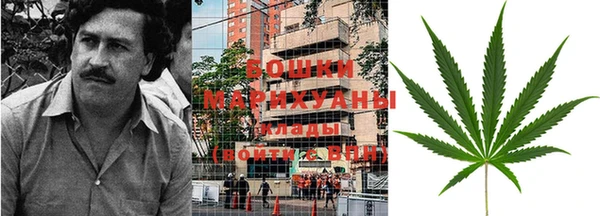 прущие грибы Семикаракорск