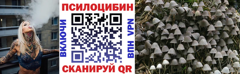 наркота  Бикин  Псилоцибиновые грибы Magic Shrooms 